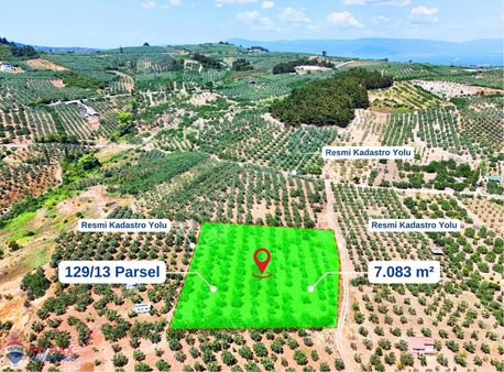 Remax Advantage - Mudanya Akköy 7 Dönüm Çift Yolu Olan Zeytinlik