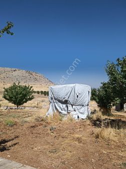 Akçadağ Yatırımlık Arazi