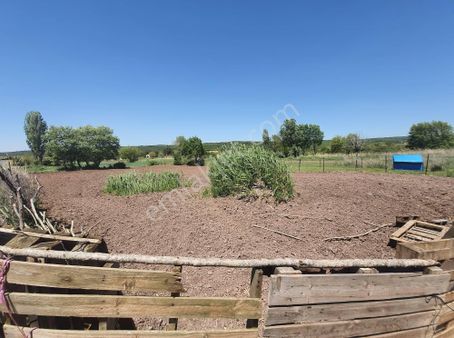 Haydar Emlaktan Gölcükte 118 M2 Hobi Bahçesi