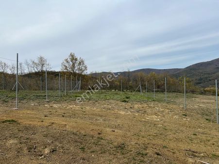 Bursa Kestel Kayacık Satılık Hobi Bahçesi