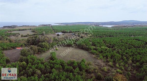 Ormanla Denizin Kesiştiği Nokta:kerpe 'de 13.500 M² Doğa Arazisi