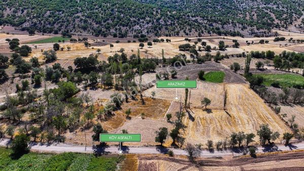 Afyonkarahisar Çepni Köyünde 172 M² Fırsat Bahçe