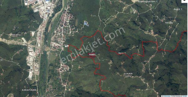 Yukarıtepe Mahallesinde Satılık Fındık Bahçesi