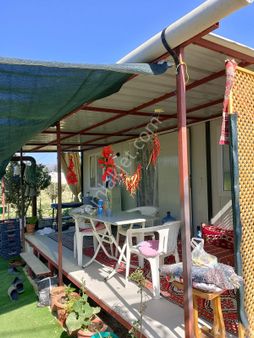 Yola Sıfır Merkezi Konumda 1.245 M² Meyve Ağaçlı Bahçe