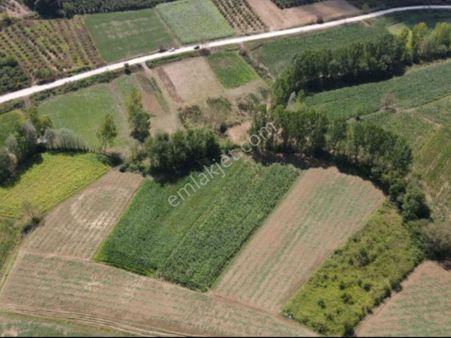 Kandıra'da Müstakil Tapulu, Yola Yakın 1.153 M² Satılık Arsa