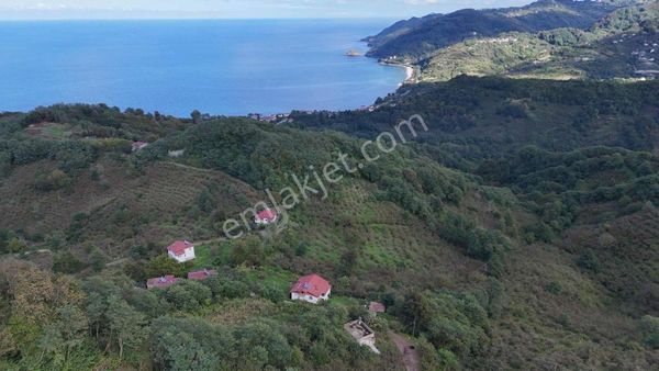 Çaytepe-hoynat Adası Manzaralı 2.022m2 Müstakil Tapu