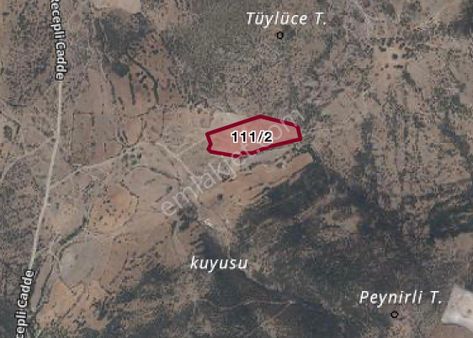 Manisa Muradiye Recepli Köyünde 4 Dönüm Hisseli Tapulu Tarla