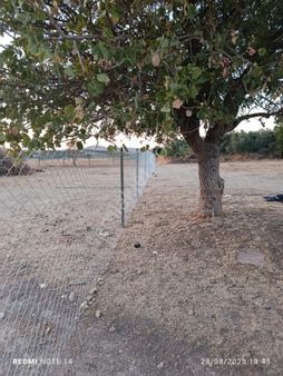 Vizyon Gayrimenkul'den Manisa Osmancalı'da Tek Tapulu Satılık Tarla