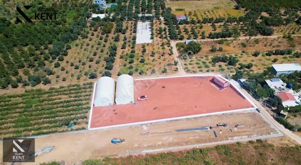 Kemalpaşa Aşağıkızılca Satılık Arazi + Üretim Tesisi