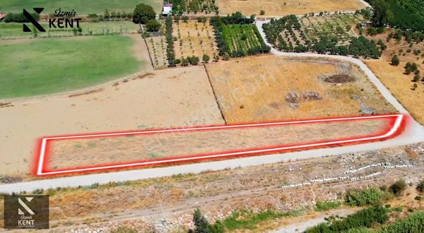 Kemalpaşa Akalan Satılık Arazi 2.235 M2