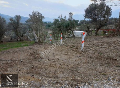 Kemalpaşa Gökyaka Satılık 657 M2 Bahçe Elektrik Su Yol
