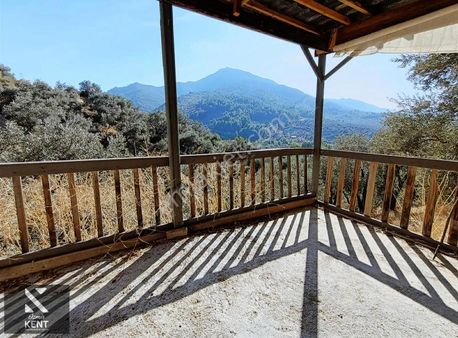 Kemalpaşa Armutlu Satılık Bahçe 1395 M2 Numaratajlı