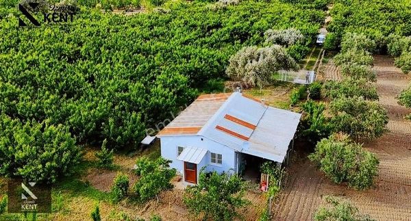 Kemalpaşa Ören Satılık Bahçe 4,578 M2 Elektrik Su Resmi Ev