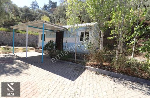 Kemalpaşa Aşağıkızılca Satılık 4536 M2 Bahçe