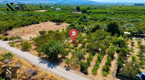 Kemalpaşa Yiğitler Satılık 1190 M2 Tek Tapu Müstakil Parsel