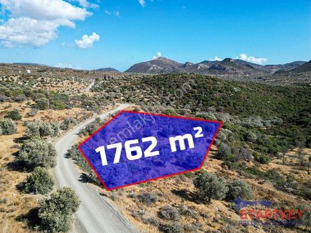 Datça Yazı Mahallesi’nde 1762 M² Yatırımlık Bademli Tarla – Tiny House Ve Ahşap Ev Uygun