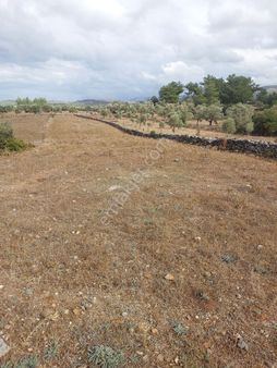 Bodrum Yeniköy Karaova