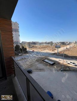 Altıntaşta İskanlı Kiralık 1+1