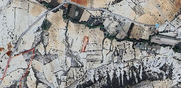 Cevizli Köyünde 3300m2 Yatırımlık, Tarıma Uygun Satılık Arazi