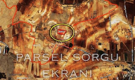 Kürüm'de Yatırımcıya Uygun 22.935 M2 Zeytin Ve Fıstık Tarlası