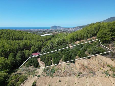 Alanya Kızılcaşehir'de Kale Ve Deniz Manzaralı Satılık Tarla