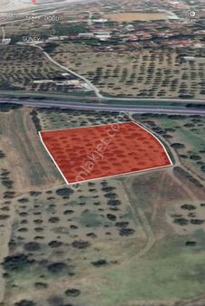 Kevser Alak'tan Germencik'te Ana Yol Üzeri Satılık Tarla