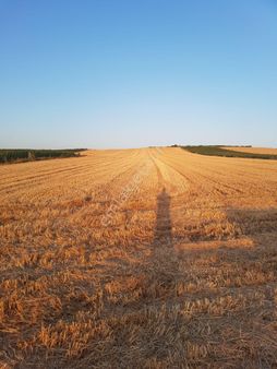Babaeski Yenimahalle Köyünde Kapalı Sulamalı Tarla