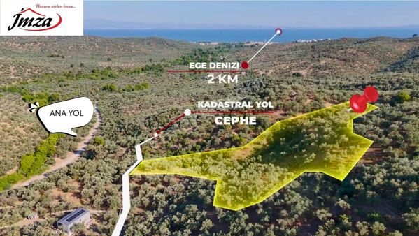 Çanakkale Ayvacık Adatepe Satılık 12.759 M² Zeytinlik