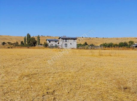 Konya Seydişehir Usanmaz Emlakta Gökçehüyükde Satılık 6663 Tarla