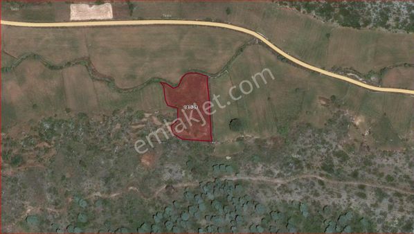 Asya Evim Emlaktan Ağlasun Çanaklı Köyün De Satılık Fırsat Tarla