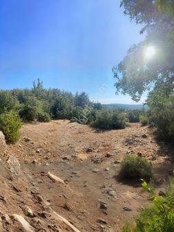 Kevser Alak'tan Muğla Menteşe'de Denize Yakın Satılık Tarla