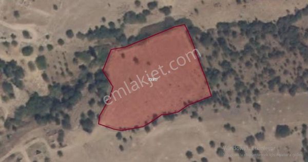 Villax'tan Satılık Tarla – Manisa / Salihli / Derbent