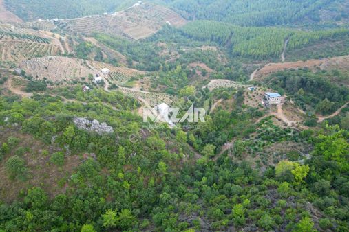 Alanya Şıhlar Köyünde 761 M² Satılık Tarla