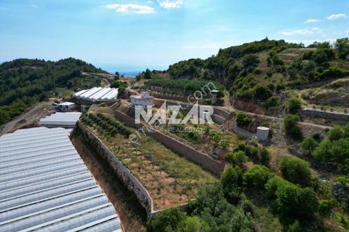 Alanya Hacıkerimler’de Satılık 8.724 M² Tarla Ve 2 Katlı Eşyalı Ev