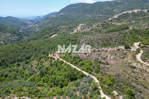 Alanya Mahmutseydi'de Satılık 2.737 M² Tarla