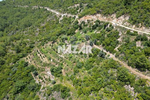 Alanya Mahmutseydi'de Satılık 7.941 M² Tarla