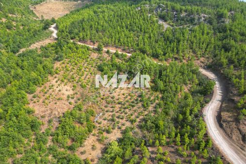 Alanya Beldibi'nde 4.978 M² Satılık Tarla