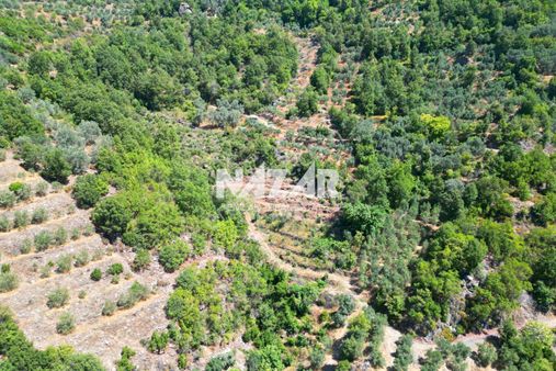 Alanya Mahmutseydi'de 5.138 M² Satılık Tarla