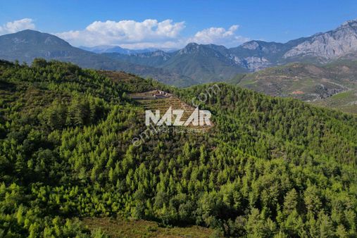 Alanya Çamlıca’da 11.999 M² Satılık Tarla