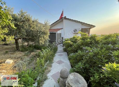 20 Emiralem Kır Mh. 3088 M2zeytin-meyve Bahçeli Satılık Tarla-ev