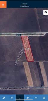 Bergama Bölcek Kadıköy Asfaltına Sıfır Konumda Satılık Tarla