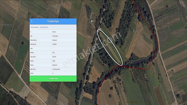Karacabey, Hürriyet Köy'de Yola Cephe Satılık Tarla