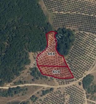 Hd'den Mudanya Da Satılık Tarla