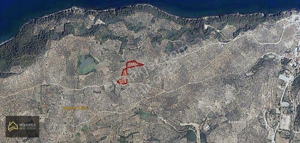 Hipotez'den Mudanya Trilye Satılık İki Köşe Parsel Zeytinlik