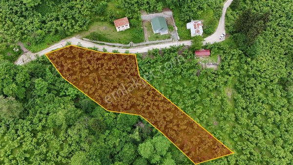 Tutkun Gayrimenkul'den Dolaylı'da Acil Satılık Arsa