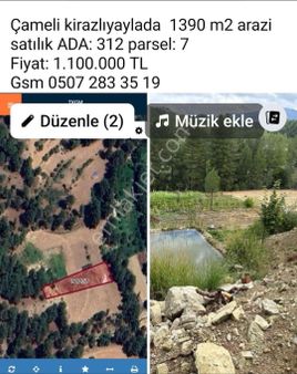 Denizli Çameli Kiraz