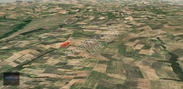 Uzunköprü Meşeli Köyünde Satılık 22372 M2 Tarla