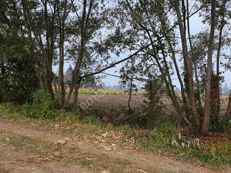 Yılmaz Mega'dan 7 Dönüm Tarla Mükemmel Konum Harika Fiyat