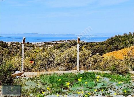 Karaburun Mordoğan Merkezde Deniz Manzaralı Satılık Arsa