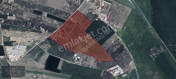 Manisa Akhisar Eroğlu Köyü Satılık Bağlı Tarla